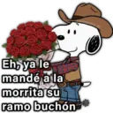 @paraguayita 01 Eh, ya le mandé a la morrita su ramo buchón