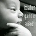 ladra bien que no te entiendo