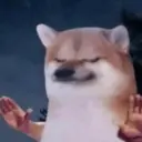 😎 STICKERS SHITPOST 24 🤙 7