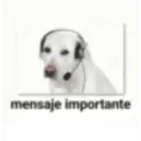 mensaje importante