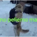 no beliemo ma