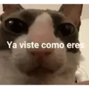 Ya viste como eres