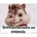 Ijuesuputamadre no entiendo