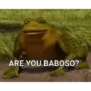 ARE YOU BABOSO?