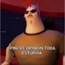 PINCHE OPINION TODA ESTUPIDA