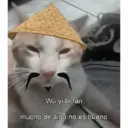 Wù yi bi fan mucho de algo no es bueno