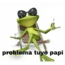 problema tuyo papi
