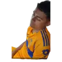 Bet