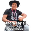 Ahora soy el Cochiloco RECETECTE