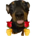 Animales pequeños 5
