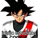 jajaja estúpidos der