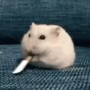 🌈🐀✨️Ratitas Mood Graciosas✨️🐀🌈 8