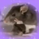 🌈🐀✨️Ratitas Mood Graciosas✨️🐀🌈 14
