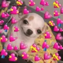 💕 PERROS Y GATITOS AMOROSOS 💕 7