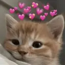 💕 PERROS Y GATITOS AMOROSOS 💕 9