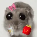 Ratita ✨ 5