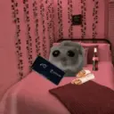 Ratita ✨ 22