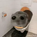 Ratita ✨ 29