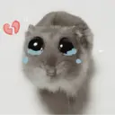 Ratita ✨ 28