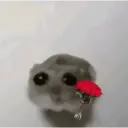 Ratita ✨ 25
