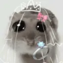 Ratita ✨ 12