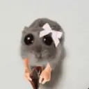 Ratita ✨ 7