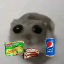 Ratita ✨ 8