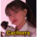 Cachorra