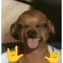 Frases Tiktok 💬 22