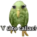 Y si te callas?