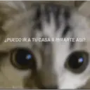 21 ¿PUEDO IR A TU CASA A MIRARTE ASÍ?