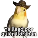 Quairy Sticker's Ya llegó por quién lloraban