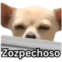 Zozpechoso