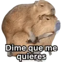 Dime que me quieres