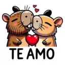 Te amo 🧡  6