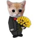 🌻💐 Yellow Flowers 4 💐🌻 20