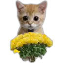 🌻💐 Yellow Flowers 4 💐🌻 14