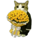🌻💐 Yellow Flowers 4 💐🌻 5