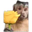 🌻💐 Yellow Flowers 4 💐🌻 23
