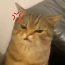 بار