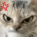 سال