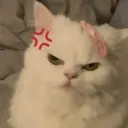 J ר