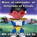 Mano, mi rastreador ah detectado un kchudo Ah chucha eras tú