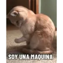 SOY UNA MAQUINA