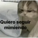 Quiero seguir mimiendo