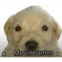 made with mematic Me vine antes