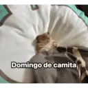 Domingo de camita