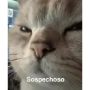 Sospechoso