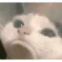 tiktok meme 8
