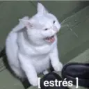 Frases 🤭 9